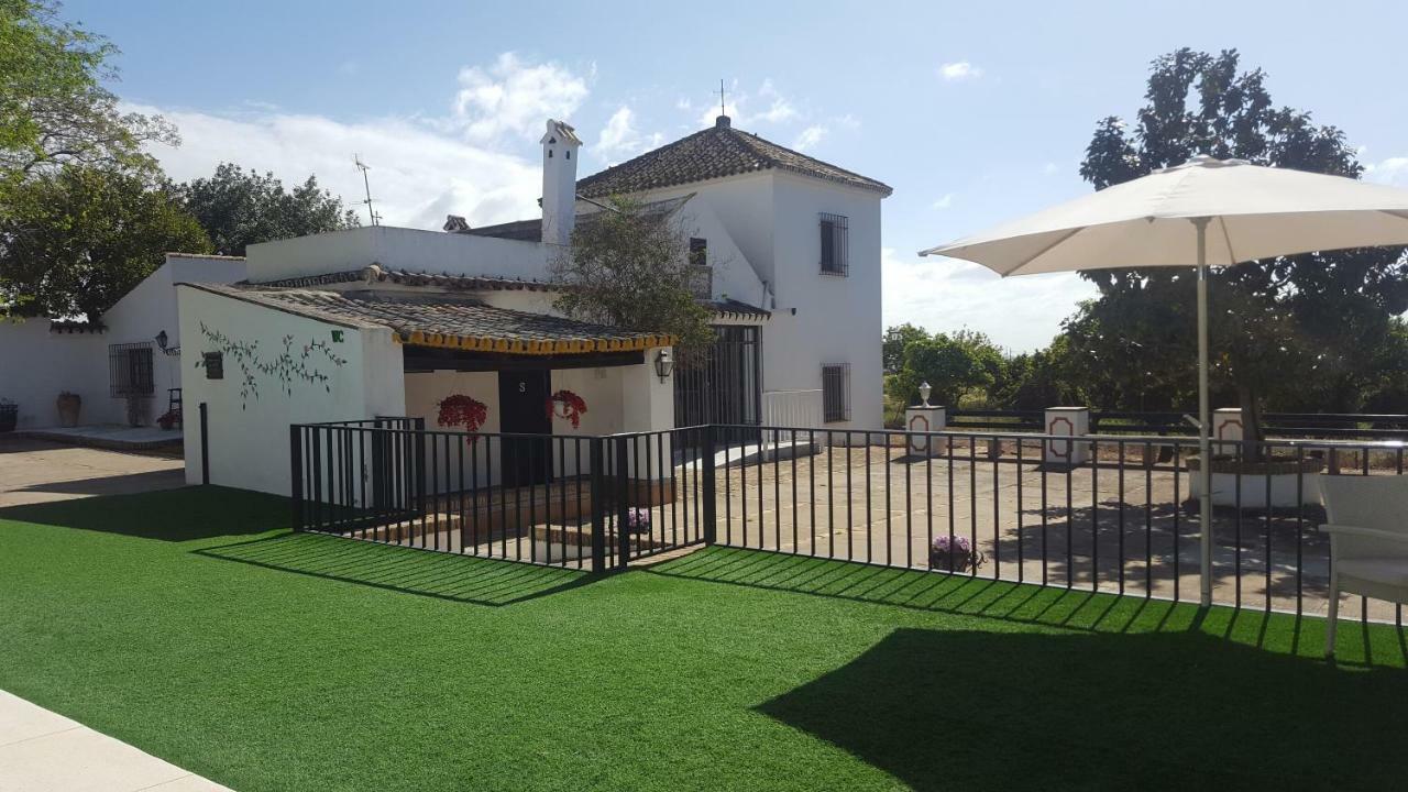 Casa Rural Sevilla, Olivares Olivares  Exterior foto